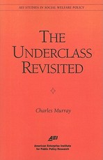 The Underclass Revisited