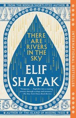 There Are Rivers in the Sky