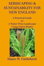 Xeriscaping & Sustainability for New England
