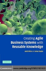 Creating Agile Business Systems with Reusable Knowledge