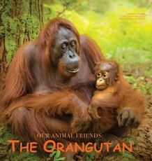 The Orangutan