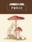 Kew Pocketbooks: Fungi