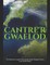 Cantre'r Gwaelod