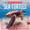 Sea Turtles