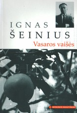 Vasaros vaišės