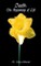 Death: The Beginning of Life