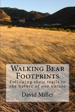 Walking Bear Footprints