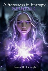 A Sorceress in Entropy