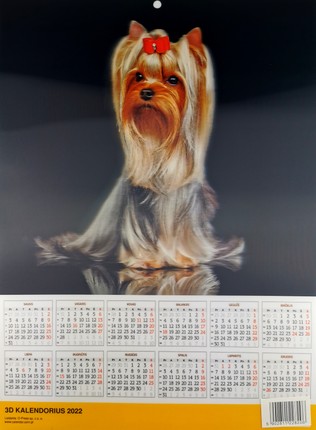 2022 m. sieninis 3D kalendorius Šuniukas
