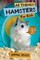 All Things Hamsters For Kids