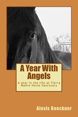 A Year With Angels