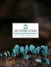 Mushrooms of the Smokies