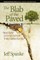 The Blab of the Paved