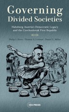Governing Divided Societies