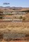 Photographic Field Guide of Common Grasses of Madagascar