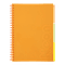 Sąsiuvinis su spirale, plastikiniu viršeliu NEON A4 120lap., lang., oranžinis