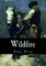 Wildfire
