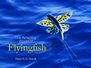 Amazing World of Flyingfish