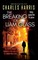 The Breaking of Liam Glass