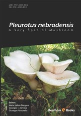 Pleurotus Nebrodensis