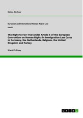 Kirchner, S: Right to Fair Trial under Article 6 of the Euro