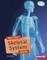 How Your Skeletal System Works