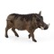 SCHLEICH WILD LIFE Karpotis