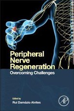 Peripheral Nerve Regeneration