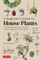 A Beginner's Guide to House Plants