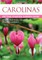 Carolinas Getting Started Garden Guide