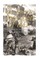 The New York City Draft Riots of 1863