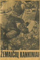 Žemaičių kankiniai. Rainių miškelio tragedija 1941.VI.24–25