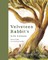 Velveteen Rabbit's Life Lessons
