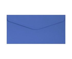 Vokai DL GLADKI 120g 10vnt rugiagėlių mėlyni