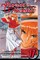 Rurouni Kenshin, Vol. 17, 17