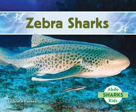 Zebra Sharks