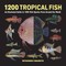 1200 Tropical Fish
