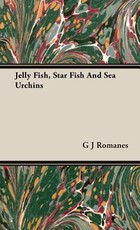 Jelly Fish, Star Fish And Sea Urchins
