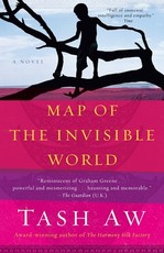 Map of the Invisible World