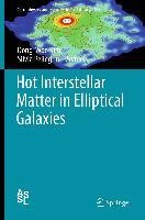 Hot Interstellar Matter in Elliptical Galaxies