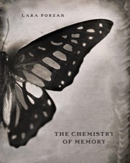 The Chemistry of Memory