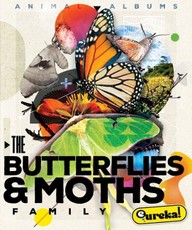 The Butterfly and Moth Family