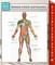 Trigger Points (Advanced) Speedy Study Guides