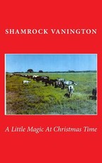 A Little Magic At Christmas Time