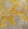Brendan Stuart Burns