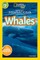 Whales