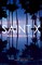 Saint X