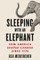 Sleeping with an Elephant