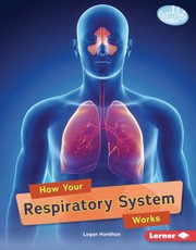 How Your Respiratory System Works