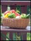 The Homesteaders Gardening and Canning Book